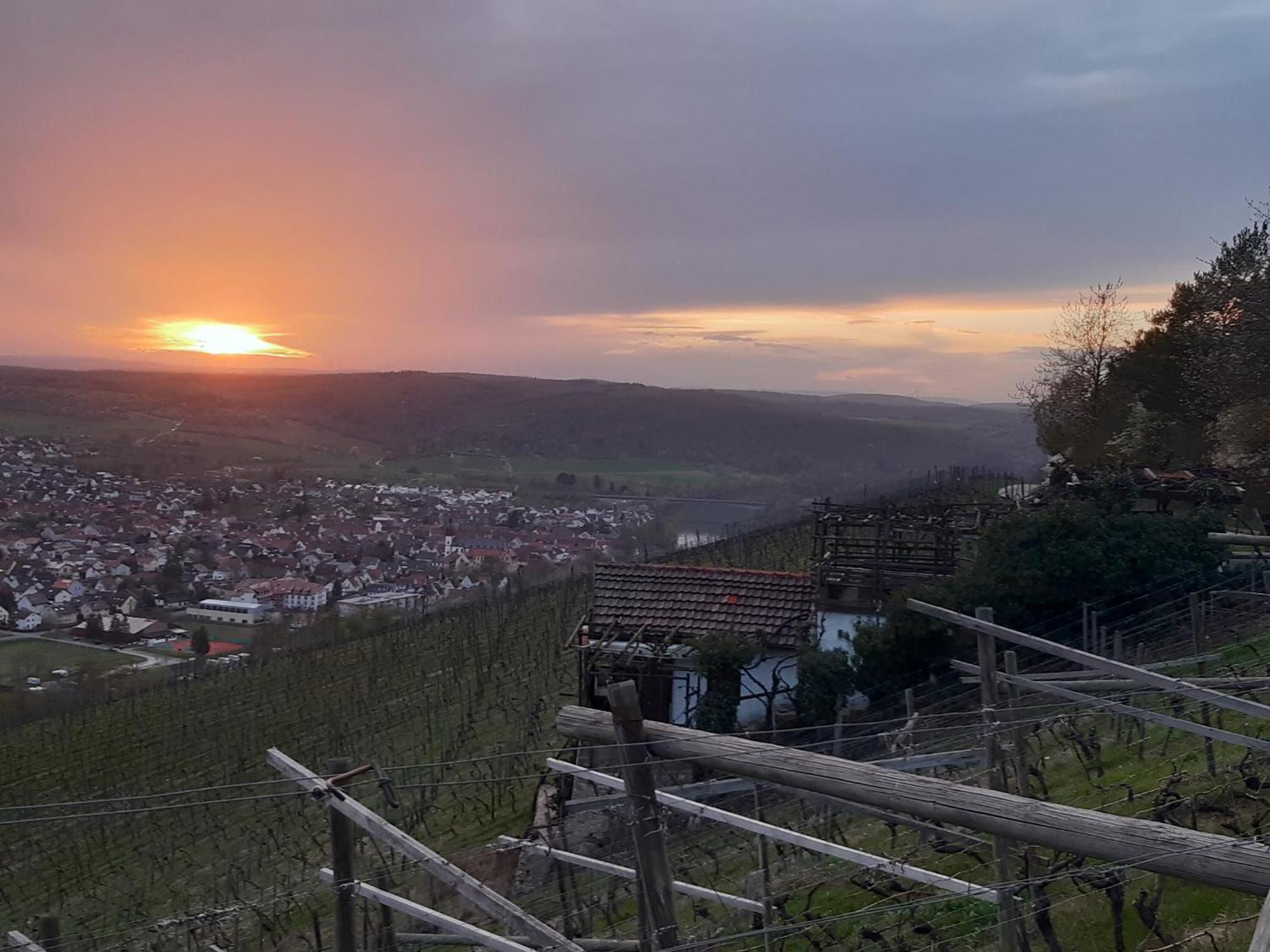 Ferienhaus An Der Hoeh' Zellingen Ngoại thất bức ảnh